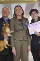 /album/exposicion%20internacional%20canina%20valls%202012%20%20milu%20de%20heport-can%20exc%201%c2%ba%20cac%20cacib%20mr/foto-amb-jutgessaweb-jpg/